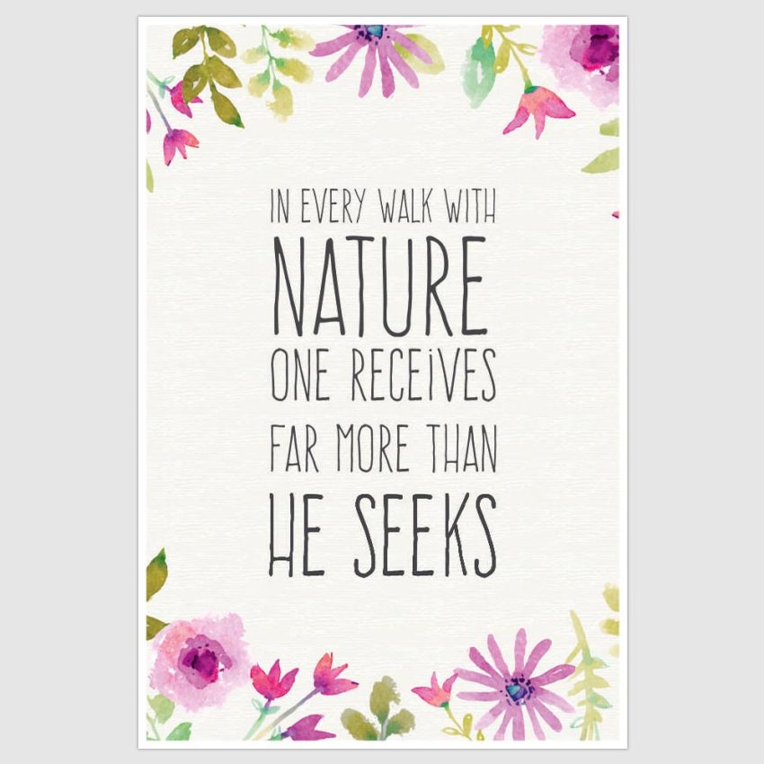 Walk With Nature Inspirational Poster (12 x 18 inch)