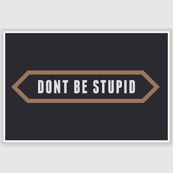 Dont be stupid Inspirational Poster (12 x 18 inch)