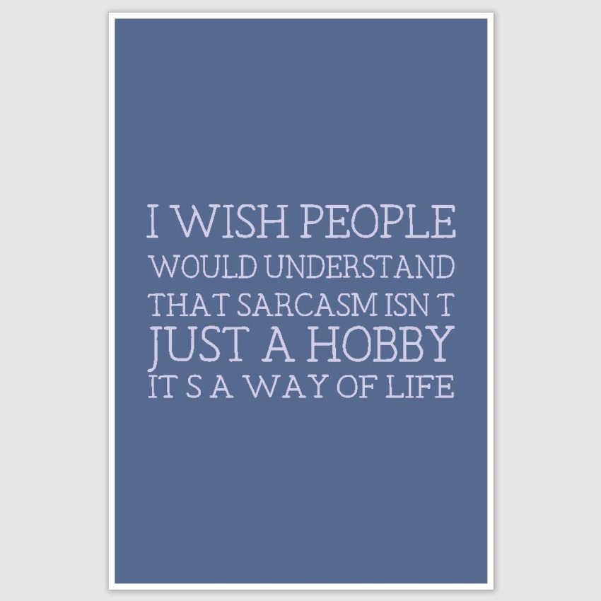 Sarcasm Funny Poster (12 x 18 inch)