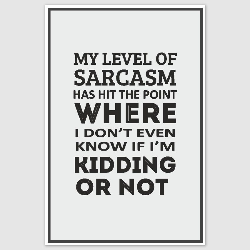 My Level of Sarcasm Funny Poster (12 x 18 inch)