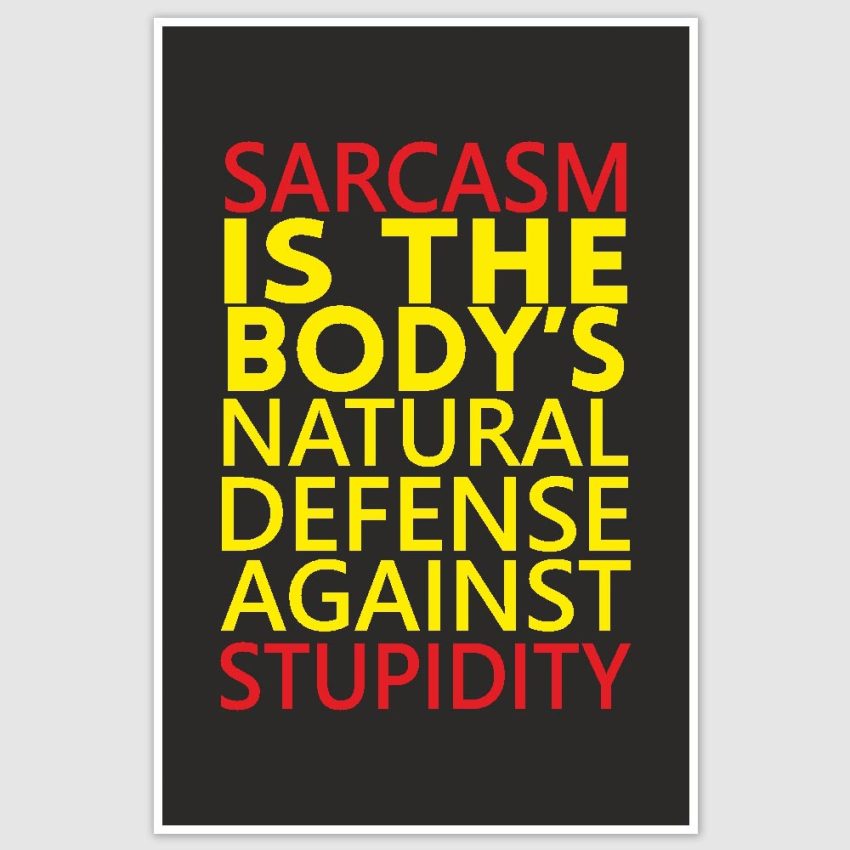 Sarcasm Funny Poster (12 x 18 inch)