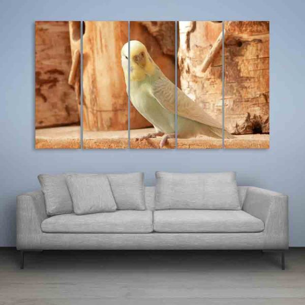 Multiple Frames Beautiful Bird Wall Painting (150cm X 76cm)