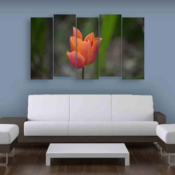 Multiple Frames Beautiful Flower Wall Painting (150cm X 76cm)