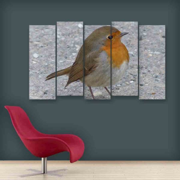 Multiple Frames Beautiful Bird Wall Painting (150cm X 76cm)