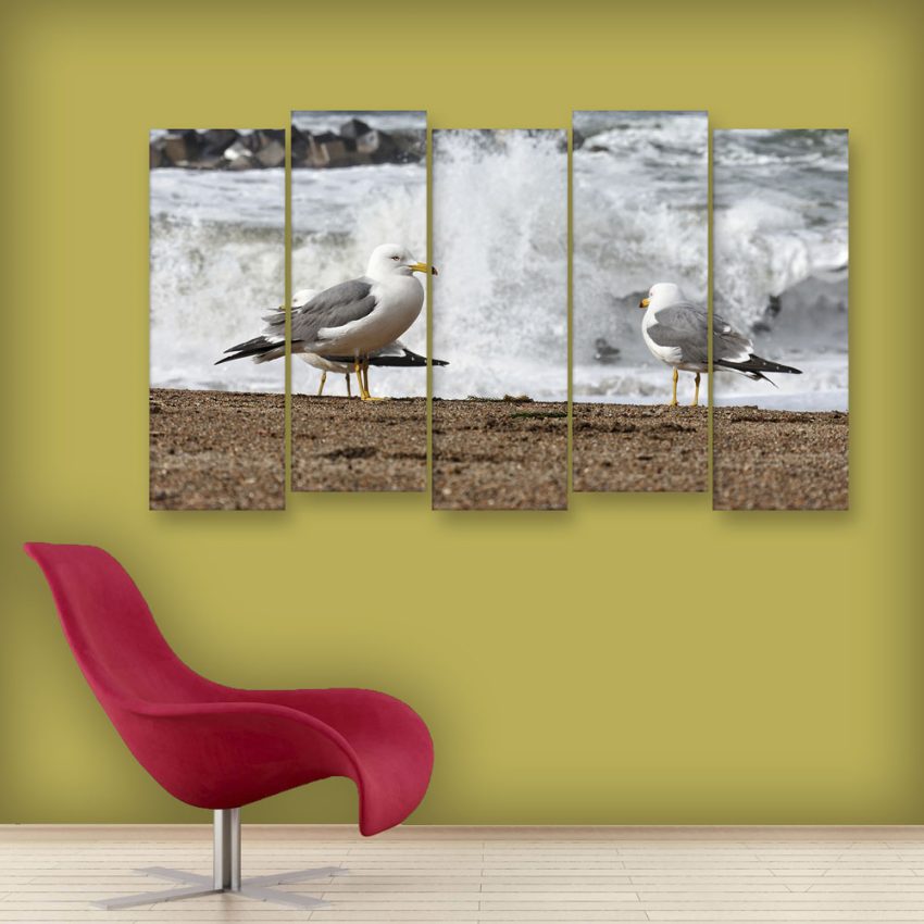 Multiple Frames Beautiful Birds Wall Painting for Living Room