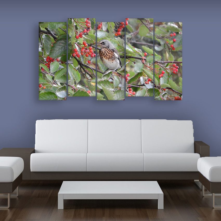 Multiple Frames Beautiful Bird Wall Painting for Living Room