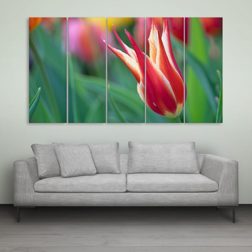 Multiple Frames Beautiful Flower Wall Painting for Living Room