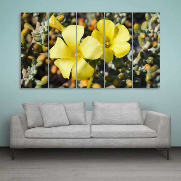 Multiple Frames Beautiful Flower Wall Painting for Living Room