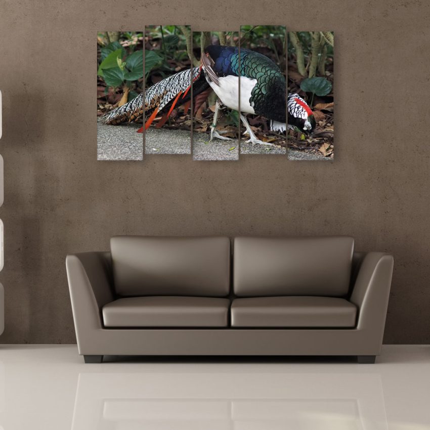 Multiple Frames Beautiful Bird Wall Painting for Living Room