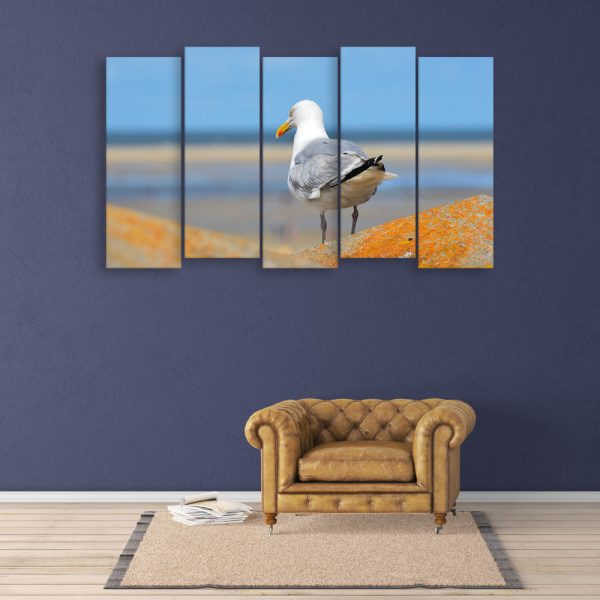 Multiple Frames Beautiful Bird Wall Painting for Living Room