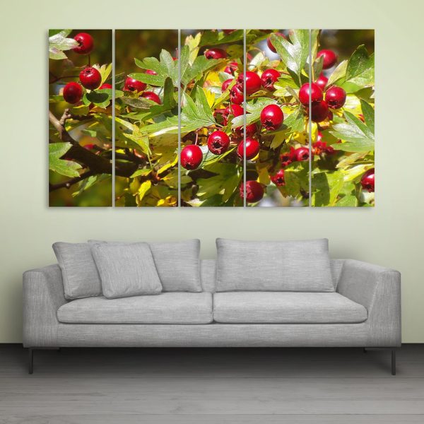 Multiple Frames Beautiful Berries Wall Painting for Living Room