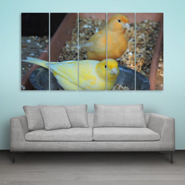 Multiple Frames Beautiful Birds Wall Painting for Living Room