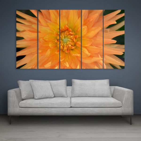 Multiple Frames Beautiful Flower Wall Painting for Living Room