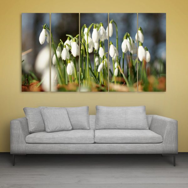 Multiple Frames Beautiful Flowers Wall Painting for Living Room