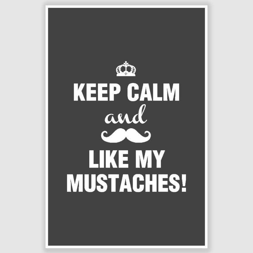 Keep Calm and Like My Mustaches Poster (12 x 18 inch)