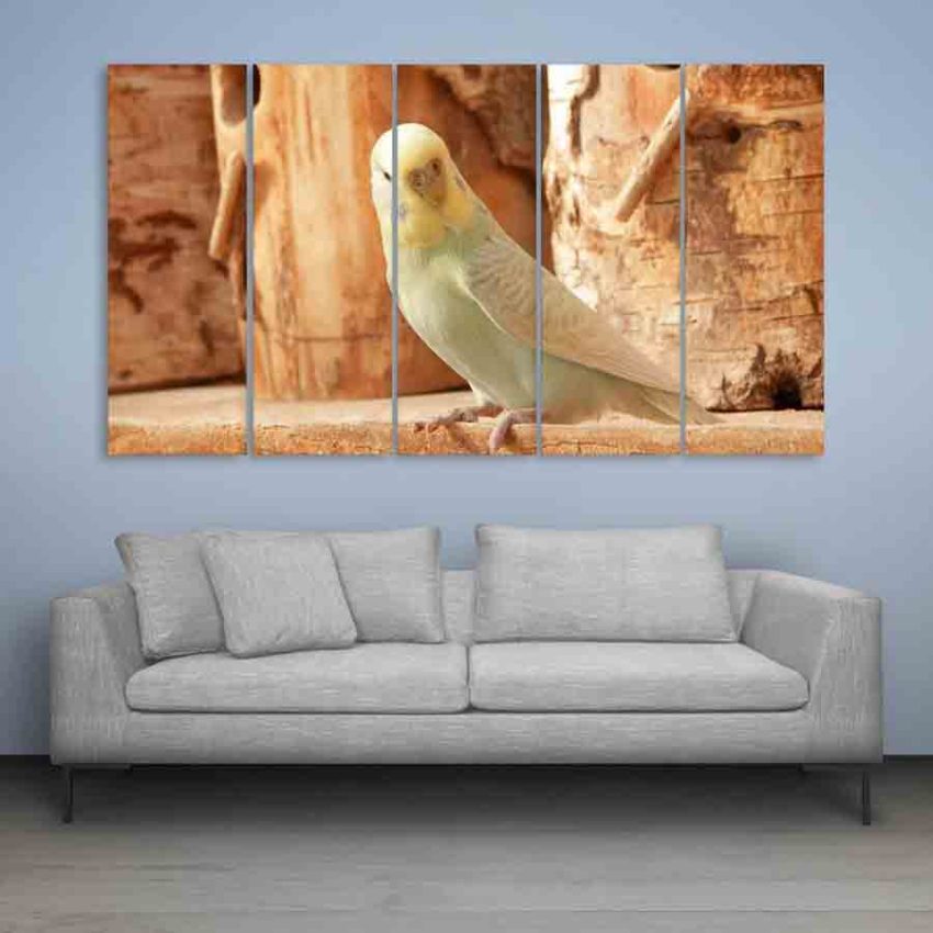 Multiple Frames Beautiful Bird Wall Painting (150cm X 76cm)