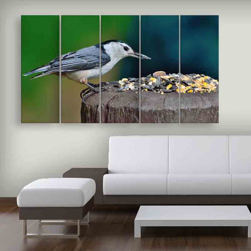 Multiple Frames Beautiful Bird Wall Painting (150cm X 76cm)