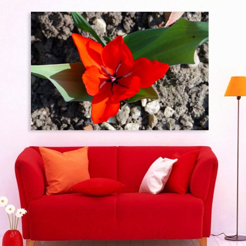 Canvas Painting - Beautiful Flowers Floral Art Wall Painting for Living Room