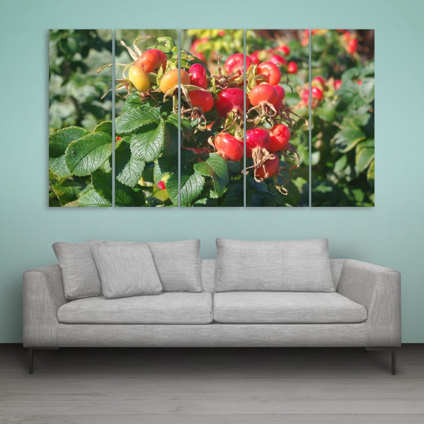 Multiple Frames Beautiful Berries Wall Painting for Living Room