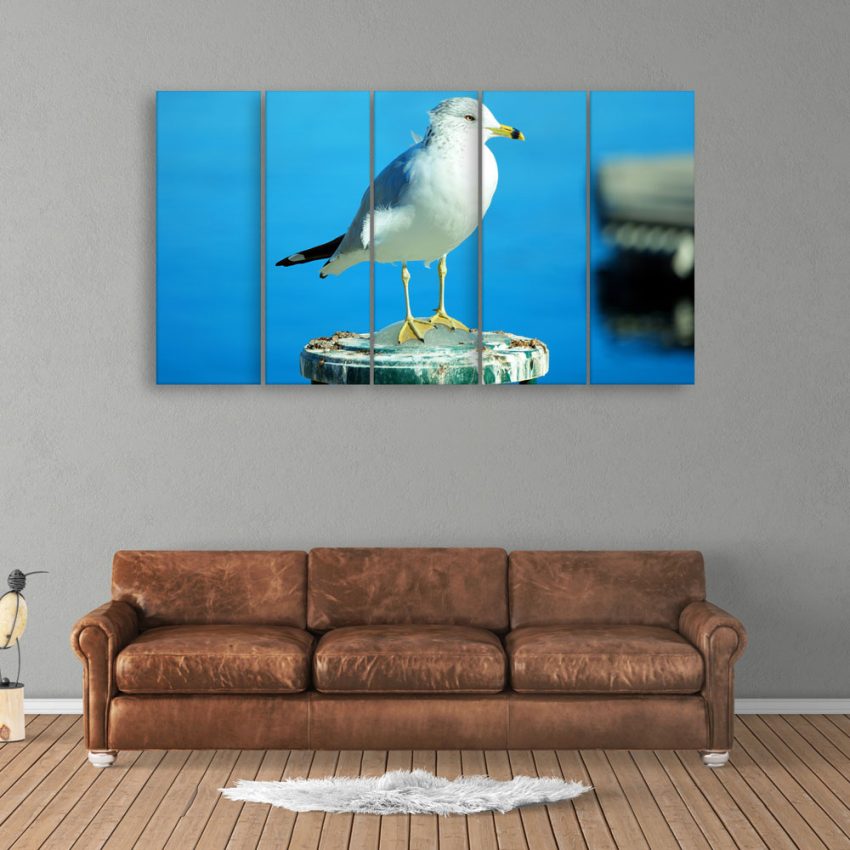 Multiple Frames Beautiful Bird Wall Painting for Living Room