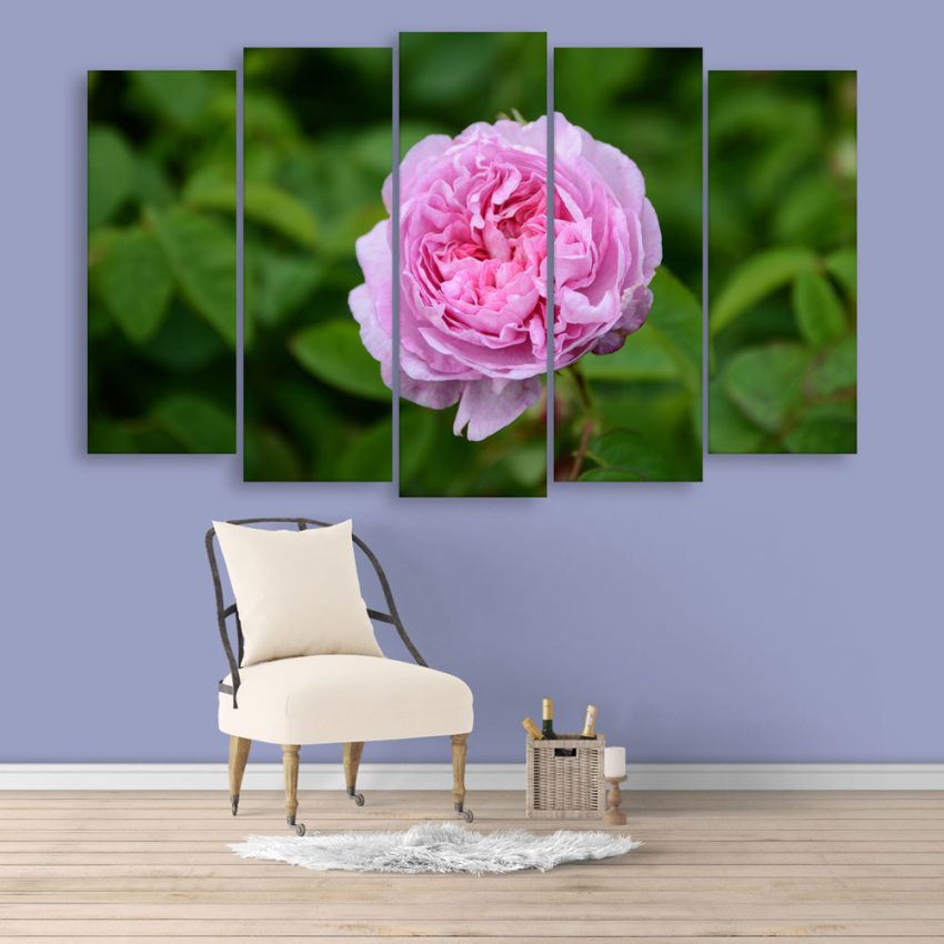 Multiple Frames Beautiful Flower Wall Painting for Living Room