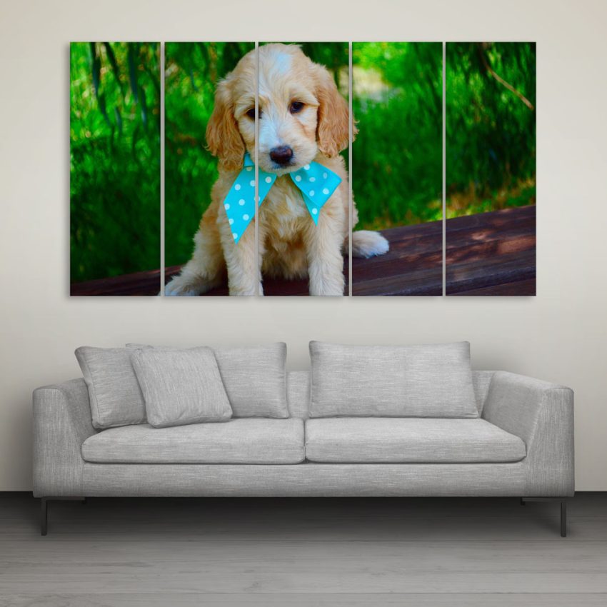 Multiple Frames Cute Puppy Wall Painting for Living Room