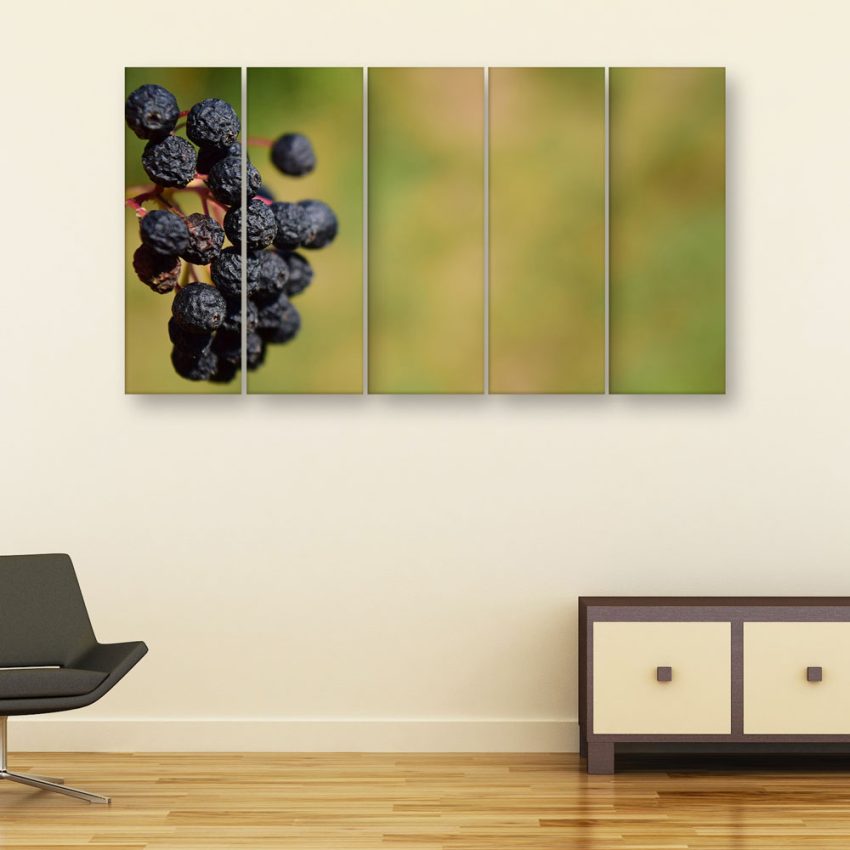 Multiple Frames Beautiful Berries Wall Painting for Living Room