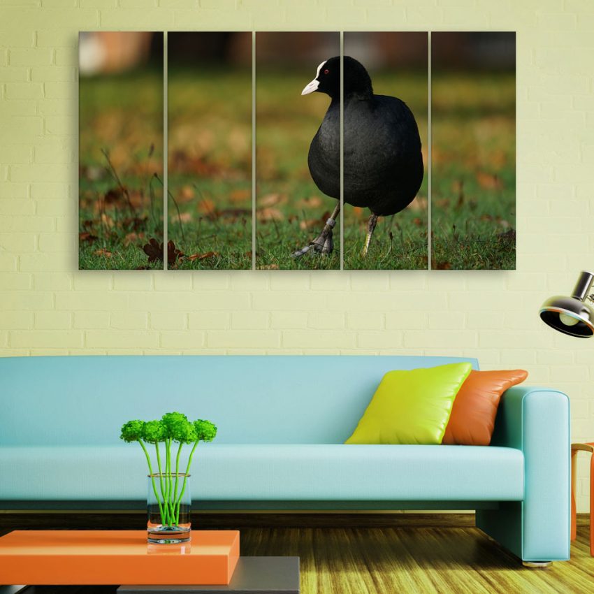 Multiple Frames Beautiful Bird Wall Painting for Living Room