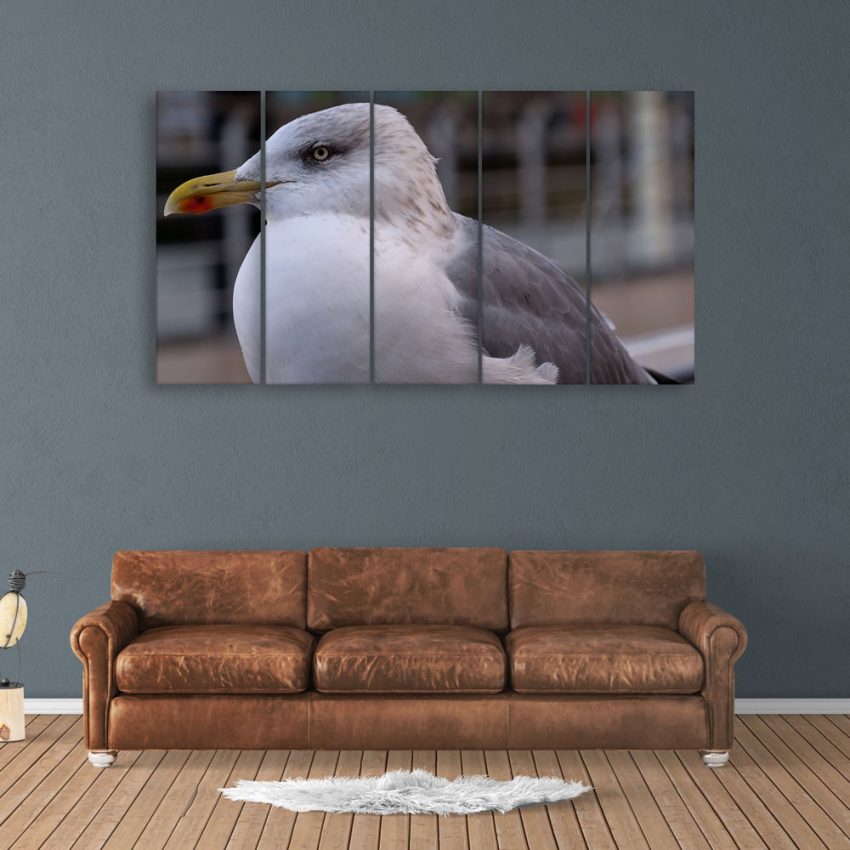 Multiple Frames Beautiful Bird Wall Painting for Living Room