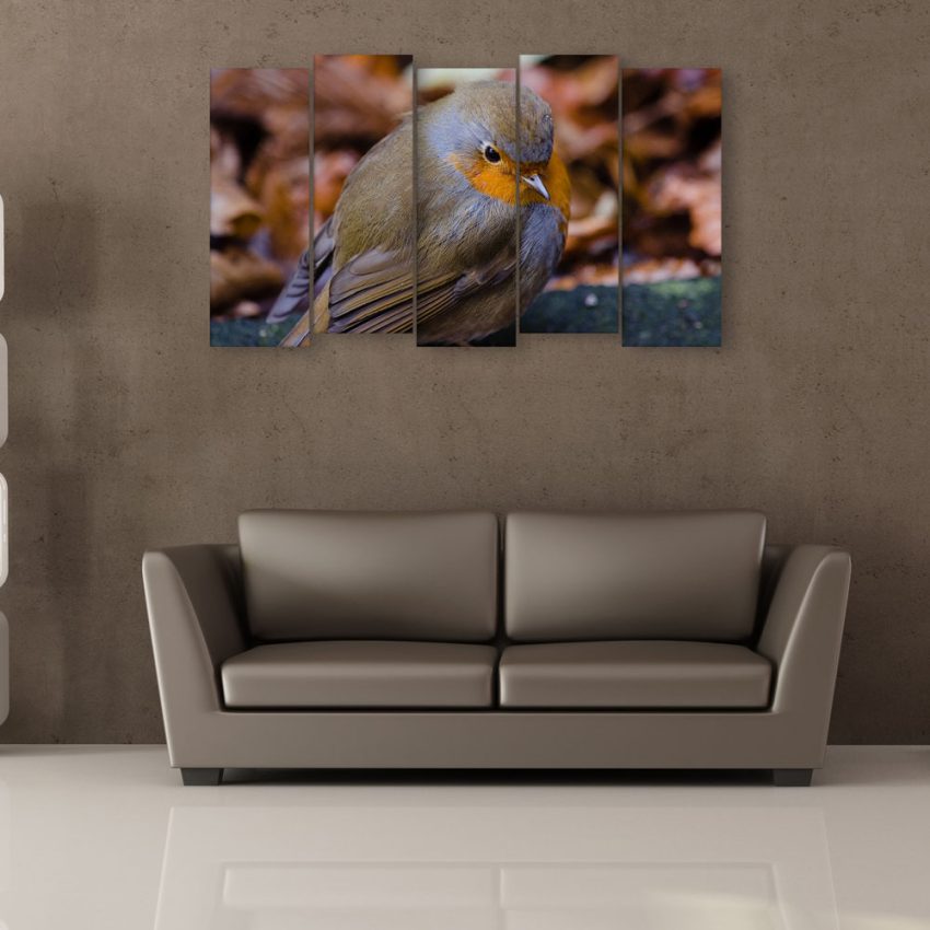 Multiple Frames Beautiful Bird Wall Painting for Living Room