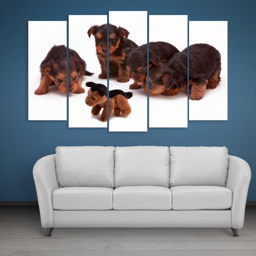 Multiple Frames Beautiful Puppies Wall Painting for Living Room